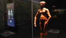 Manikin